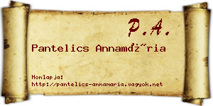 Pantelics Annamária névjegykártya